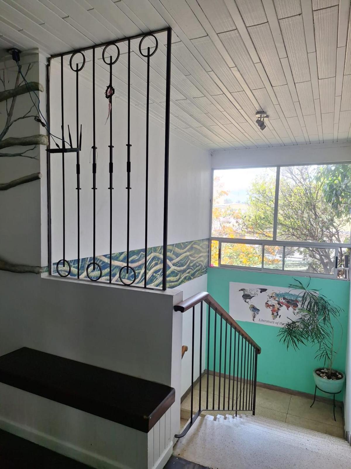 Lost In San Jose Hotel & Hostel Extérieur photo