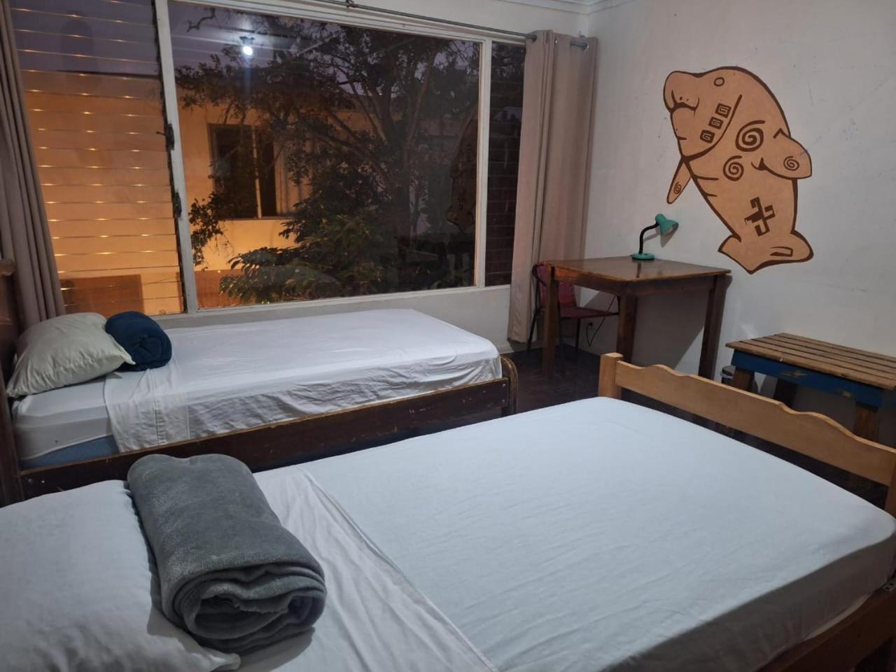 Lost In San Jose Hotel & Hostel Extérieur photo